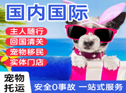 桂林两江机场物流国际宠物托运 【国
